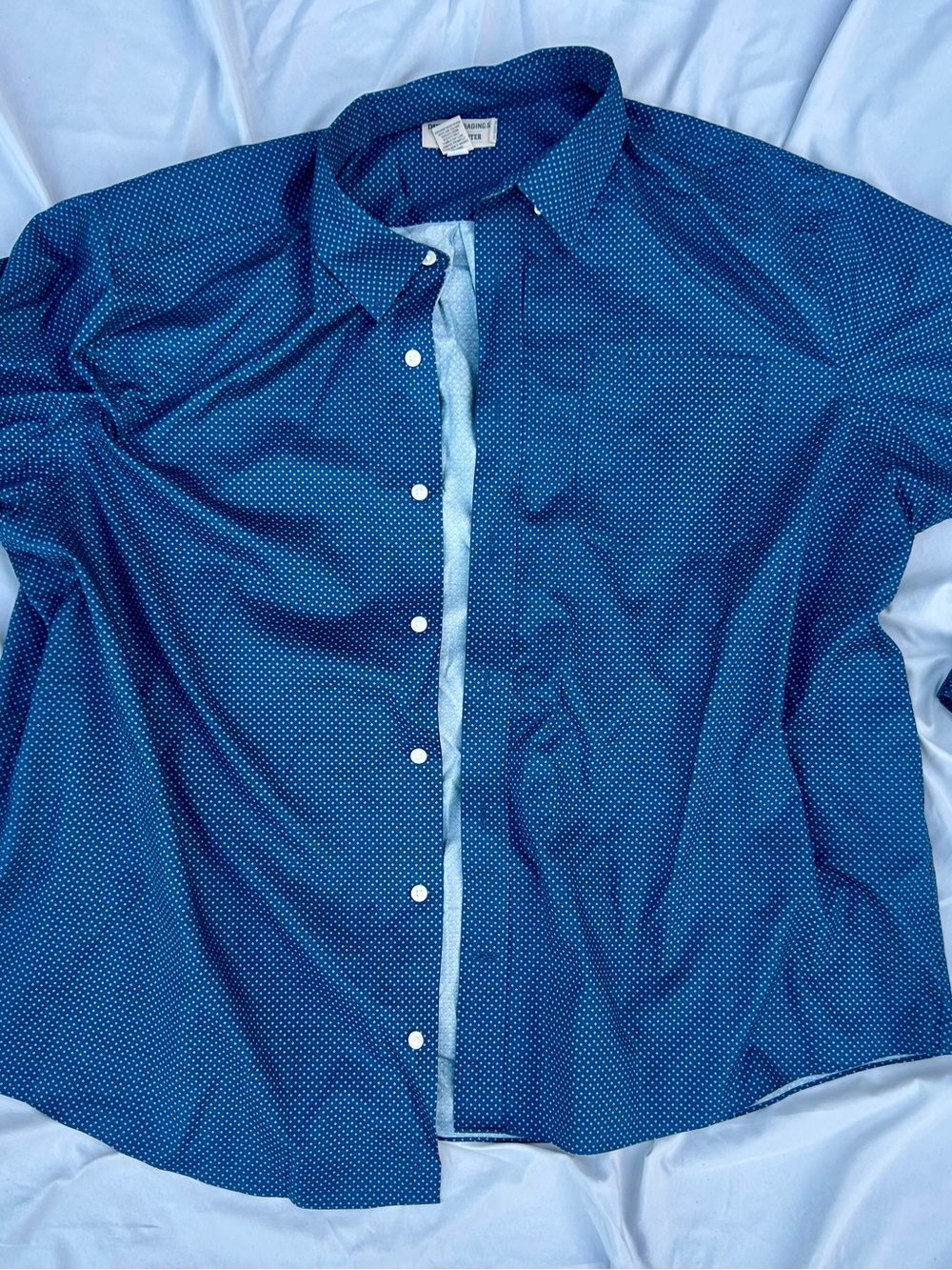 Duluth Men's Blue Microdot Button-Down Shirt